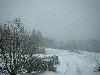 2003_0503_1311sneeuw valt gestaag neder.jpg